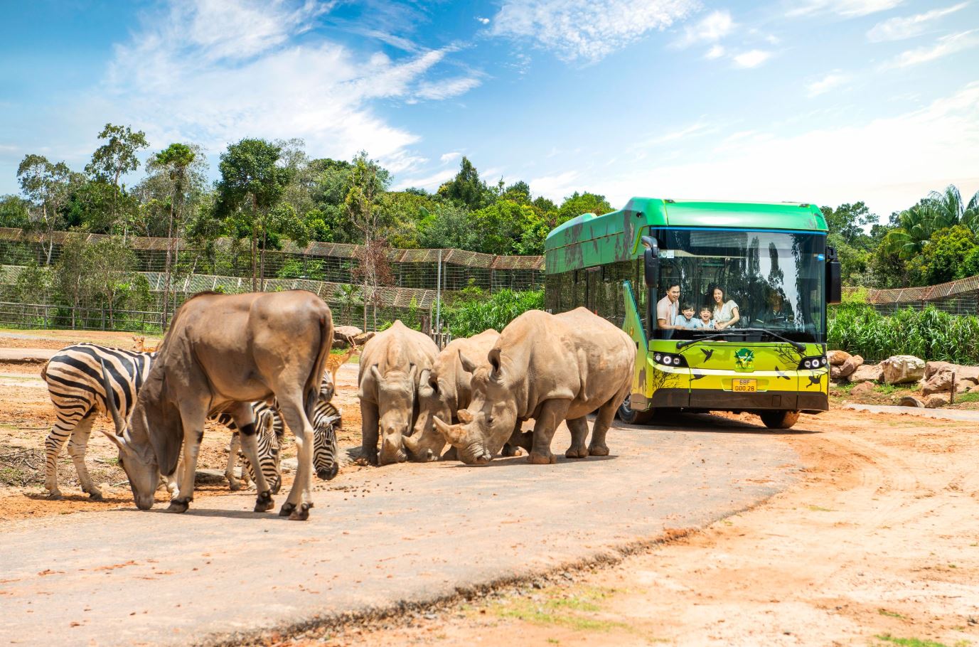 Địa điểm vui chơi ở Phú Quốc tháng 6. Vinpearl Safari Phú Quốc