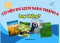 Du lịch Sapa tháng 6. Có nên du lịch Sapa tháng 6