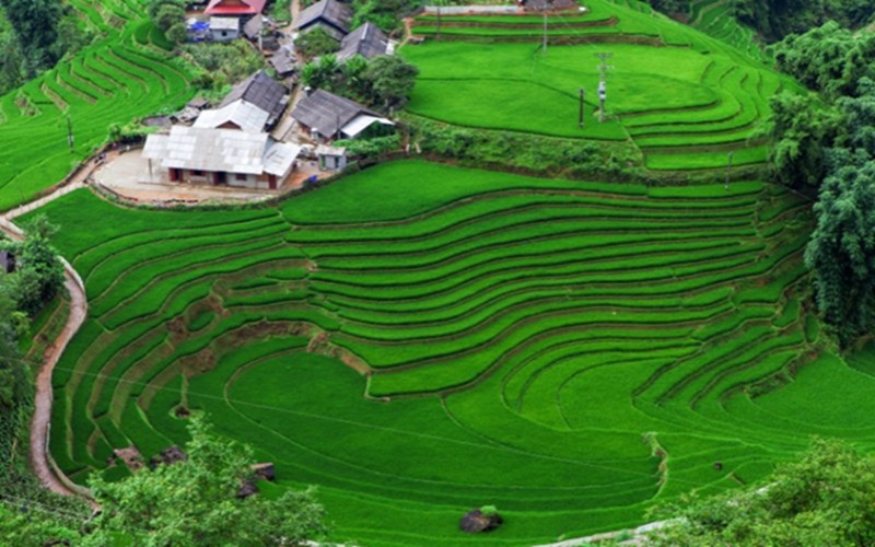Du lịch Sapa tháng 6. Tháng 6 đi du lịch Sapa không?
