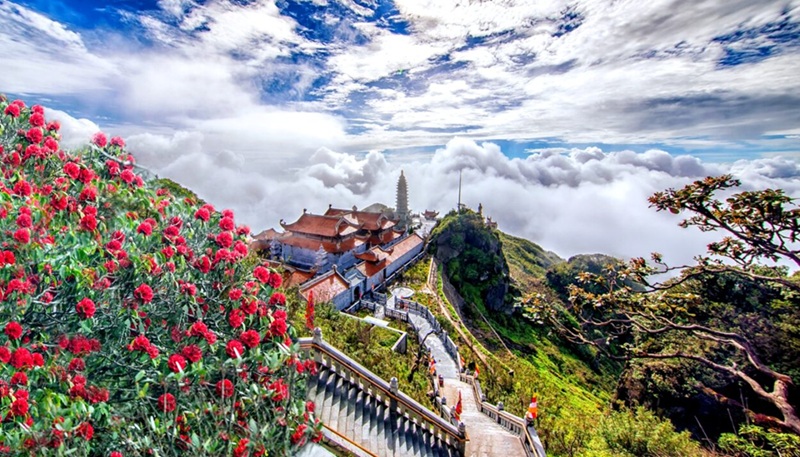 Du lịch Sapa tháng 6. Tháng 6 có nên đi du lịch Sapa không
