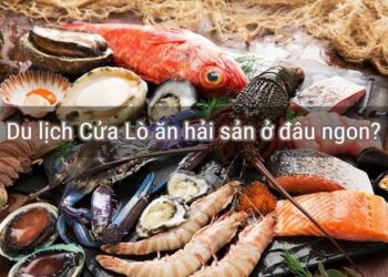 Du lịch Cửa Lò ăn hải sản ở đâu ngon? Địa chỉ ăn hải sản ngon ở Cửa Lò