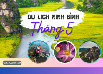 Vì sao nên đi du lịch Ninh Bình tháng 5? Du lịch Ninh Bình tháng 5 nên đi đâu, chơi gì?