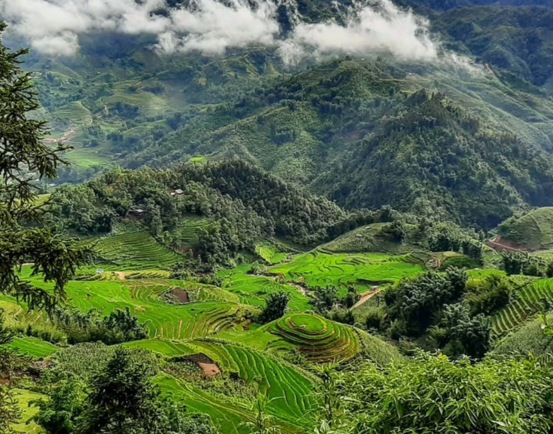 Du lịch Sapa tháng 7. tháng 7 có nên đi Sapa không