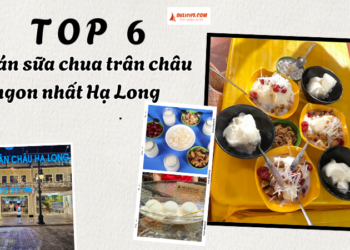 TOP quán sữa chua trân châu ngon ở Hạ Long nổi tiếng nhất