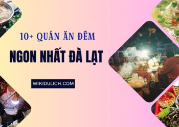 Quán ăn đêm ngon ở Đà Lạt nổi tiếng, đông khách