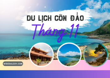 Review du lịch Côn Đảo tháng 11 có gì đẹp, nên đi đâu?
