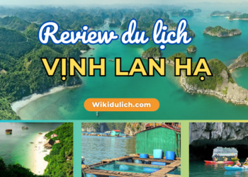 Vịnh Lan Hạ ở đâu, có gì, hình ảnh thực tế & review A-Z