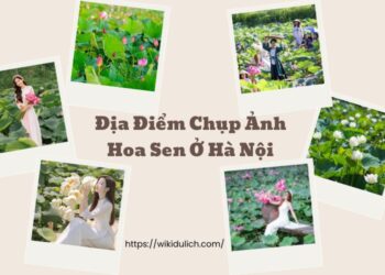 Địa điểm chụp ảnh hoa sen ở Hà Nội. Địa điểm chụp ảnh đẹp tại Hà Nội