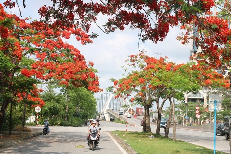 Lịch trình du lịch Hải Phòng 1 ngày. Du lịch Hải Phòng nên đi đâu chơi?