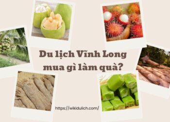 Đặc sản Vĩnh Long làm quà. Mua gì ngon ở Vĩnh Long làm quà