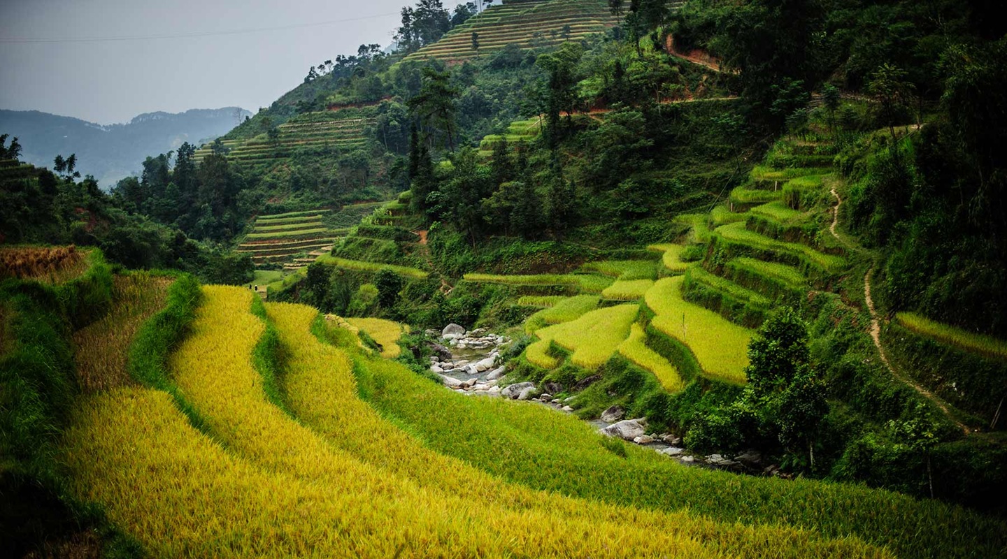 Có nên du lịch Hà Giang tháng 8 không. Du lịch Hà giang tháng 8