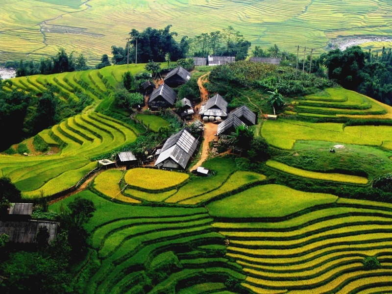 Du lịch Sapa tháng 8. Đi đâu chơi ở Sapa tháng 8