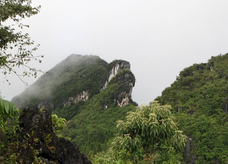 Du lịch Sapa tháng 8. Có nên du lịch Sapa tháng 8 không