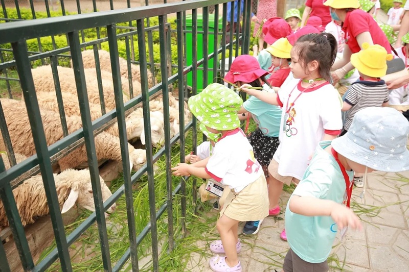 Khu du lịch sinh thái ở Hà Nội. Ở Hà Nội có khu du lịch sinh thái nào