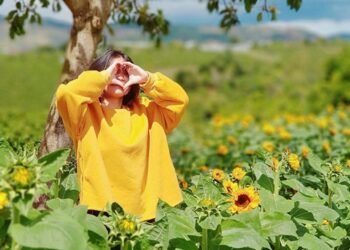 Địa điểm du lịch cuối thu ở Việt Nam. Ở Việt Nam nên đi đâu chơi cuối thu