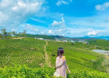 Du lịch Đà Lạt tháng 10. Du lịch Đà Lạt nên đi đâu chơi tháng 10