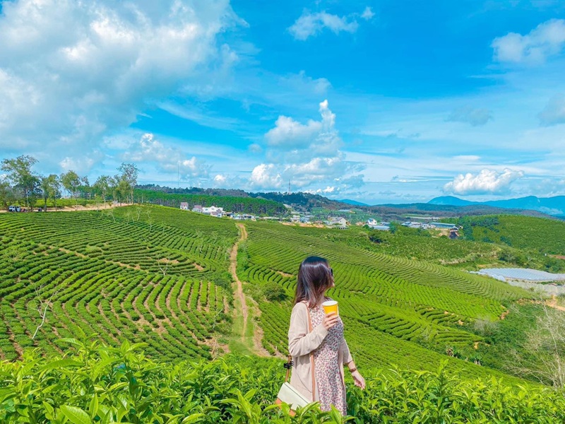 Du lịch Đà Lạt tháng 10. Du lịch Đà Lạt nên đi đâu chơi tháng 10
