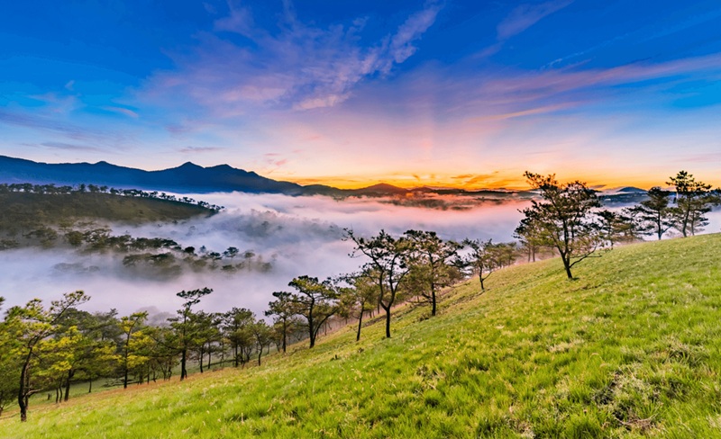 Du lịch Đà lạt tháng 10. Có nên Du lịch Đà Lạt tháng 10 không