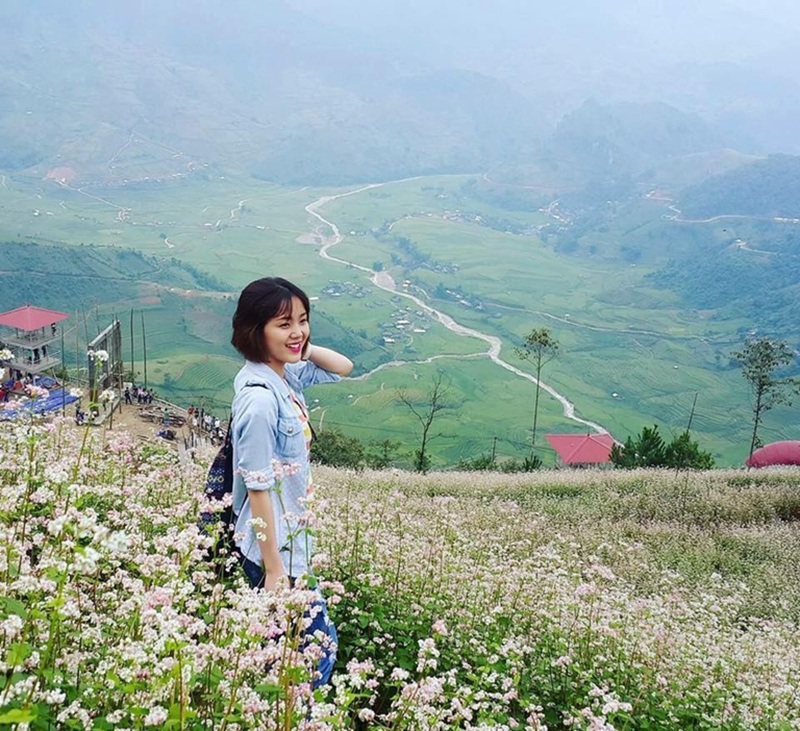 Du lịch Hà Giang mùa hoa tam giác mạch. Mùa hoa tam giác mạch Hà Giang khi nào