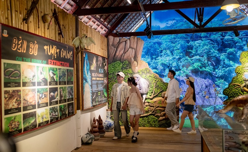 Khám phá, kinh nghiệm du lịch đảo Hoa Lan Nha Trang