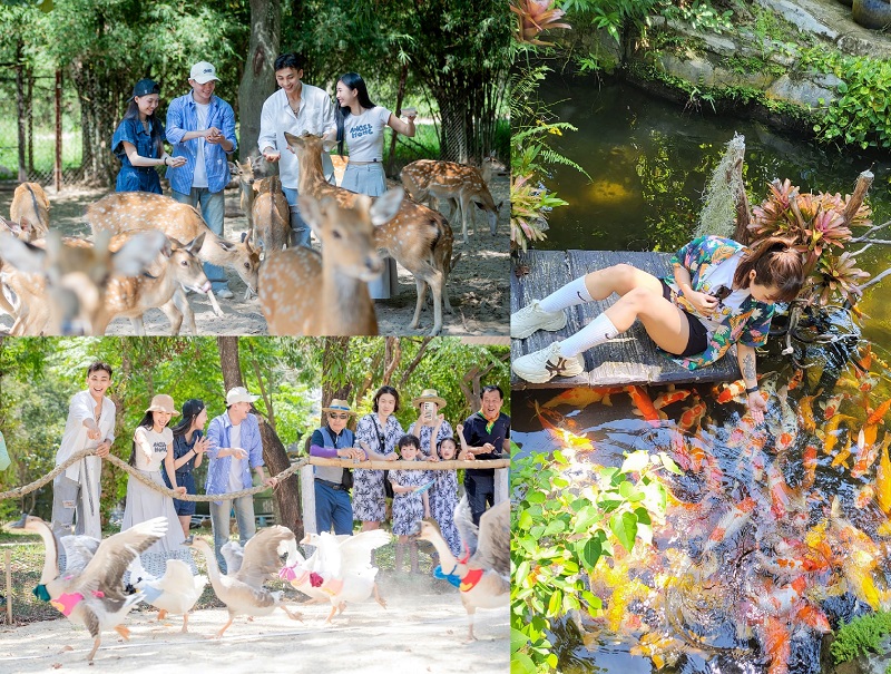 Kinh nghiệm, review du lịch đảo Hoa Lan Nha Trang