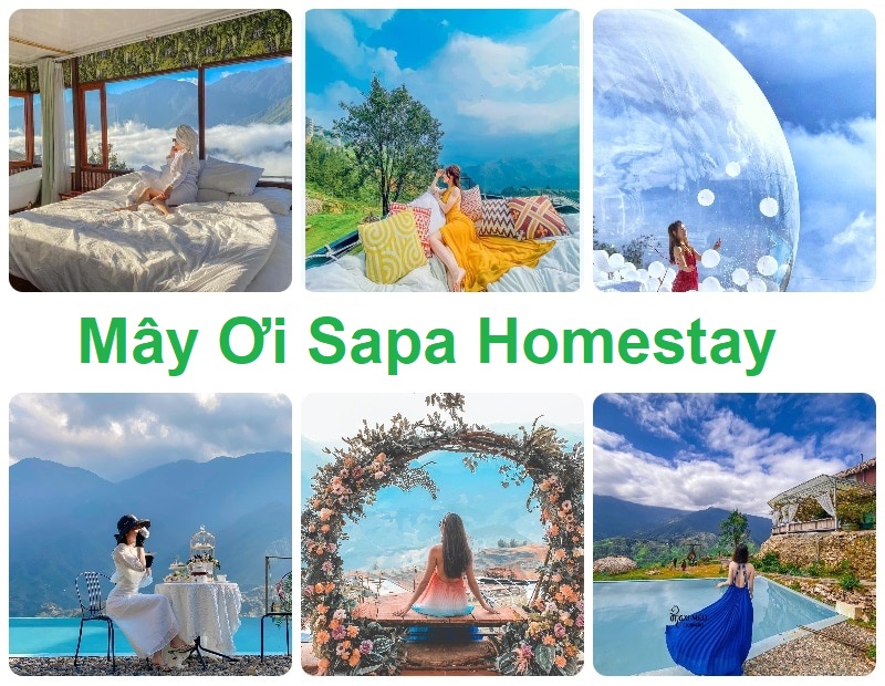 Homestay Sapa check in đẹp, Mây Ơi Sapa Homestay