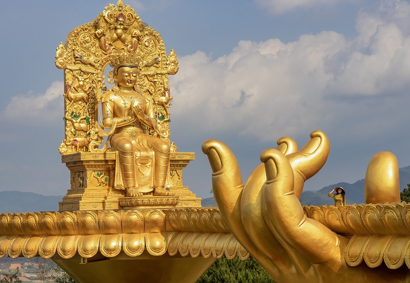 Review Samten Hills Đà Lạt có gì đẹp? Phật Di Lặc