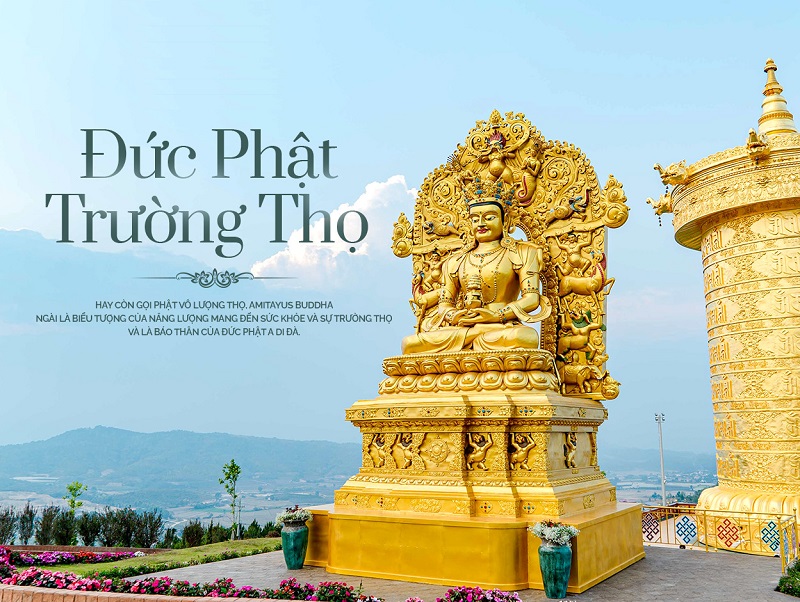 Review Samten Hills Đà Lạt. Phật Trường Thọ