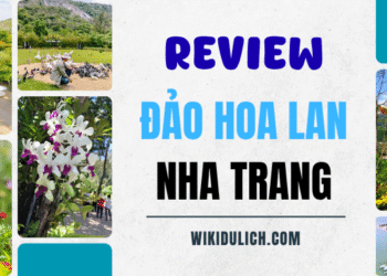 Review du lịch đảo Hoa Lan Nha Trang từ a đến z
