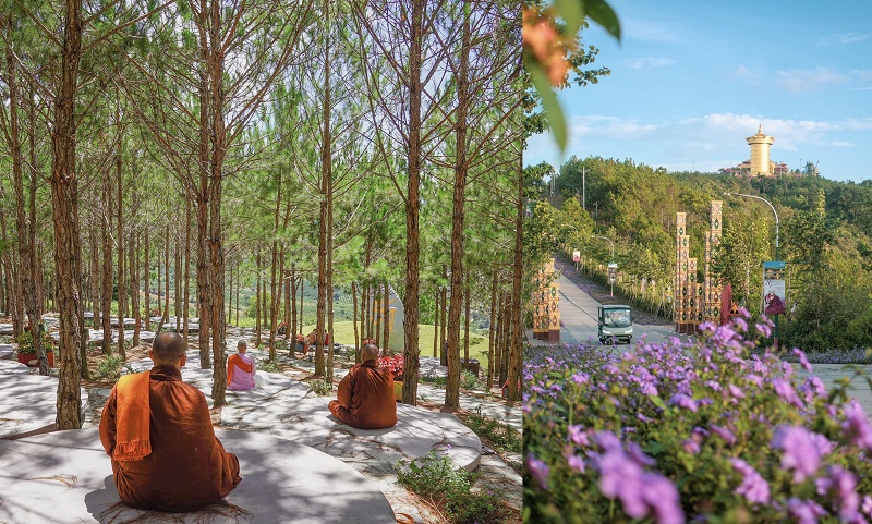 Samten Hills Đà Lạt có gì, phong cảnh đẹp? Review từ a đến z