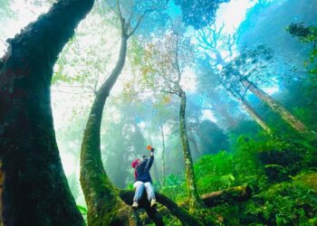 Kinh nghiệm đi Bạch Mộc Lương Tử. Bạch Mộc Lương Tử ở đâu