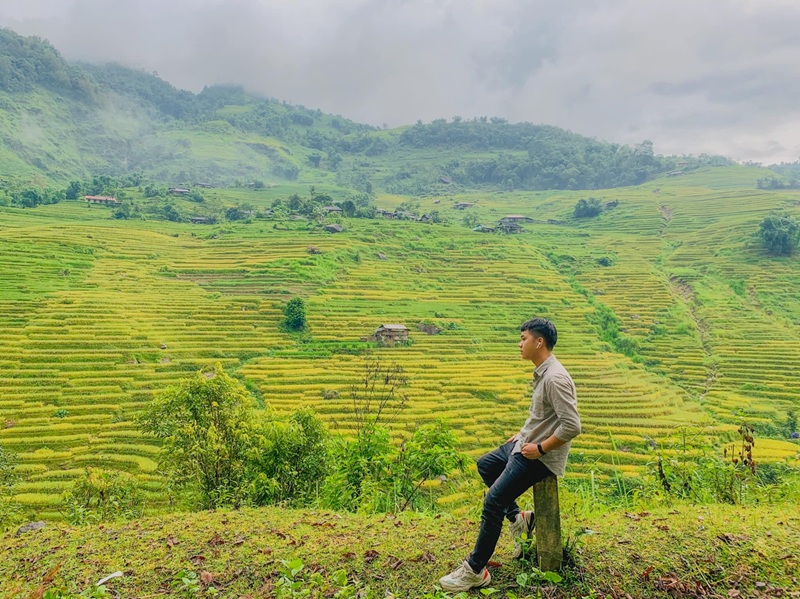 Địa điểm ngắm cảnh lúa chín ở Hà Giang. Du lịch Hà Giang nên ngắm cảnh lúa ở đâu