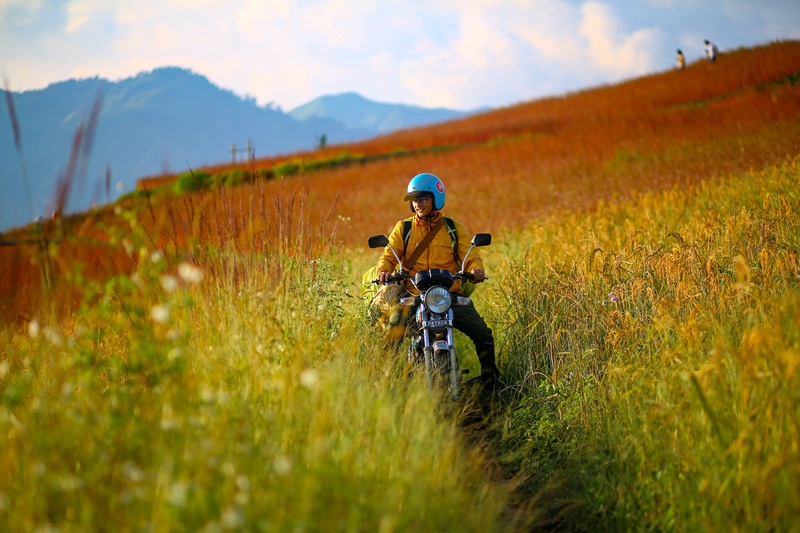 Địa điểm ngắm cảnh lúa chín ở Hà Giang. Du lịch Hà Giang nên ngắm cảnh lúa ở đâu