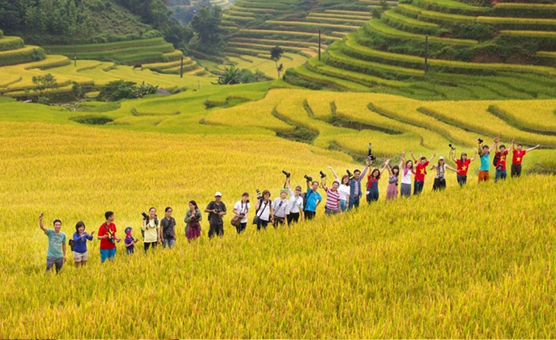 Địa điểm ngắm cảnh lúa chín ở Hà Giang. Du lịch Hà Giang nên ngắm lúa chín ở đâu