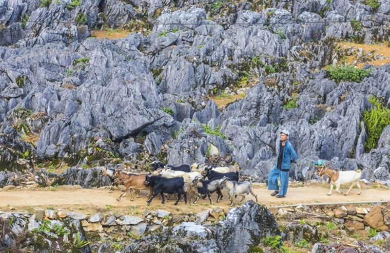 Du lịch Hà Giang mùa đông. Mùa đông ở Hà Giang đi đâu chơi vui