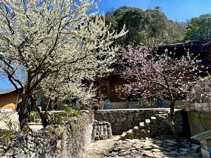 Bản làng đẹp ở Hà Giang. Bản làng nổi tiếng ở Hà Giang