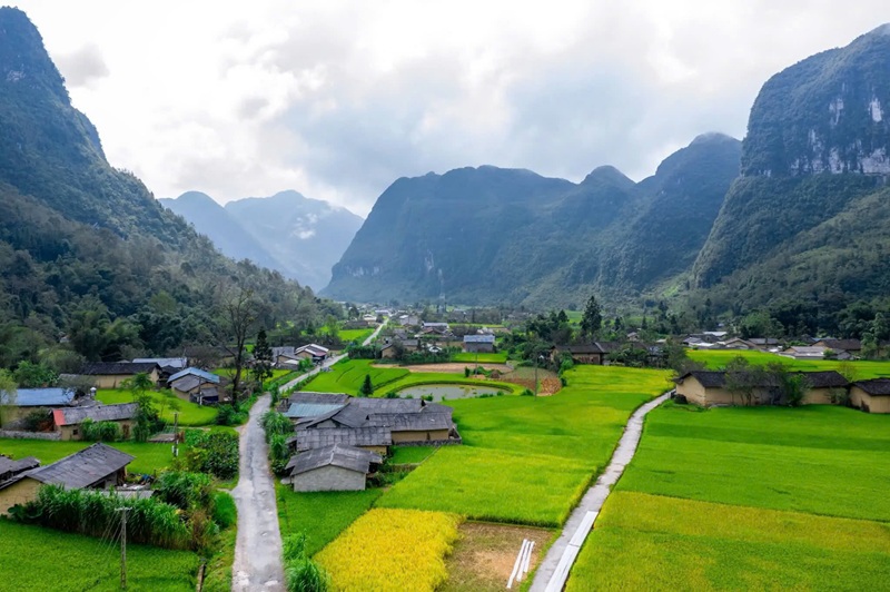 Kinh nghiệm du lịch Phố Cáo. Chơi gì ở Phố Cáo