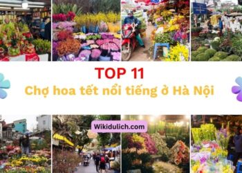 11 chợ hoa Tết đẹp nhất ở Hà Nội, đủ loại hoa rực rỡ sắc màu