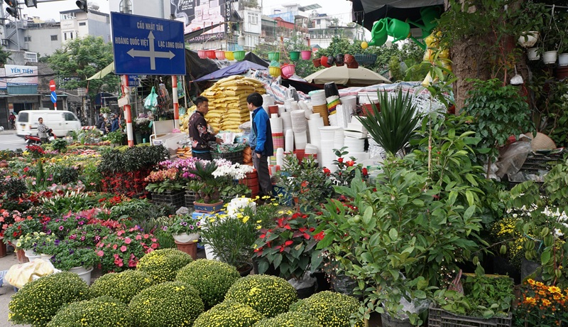 Chợ hoa tết ở Hà Nội. Chợ hoa tết nổi tiếng Hà Nội
