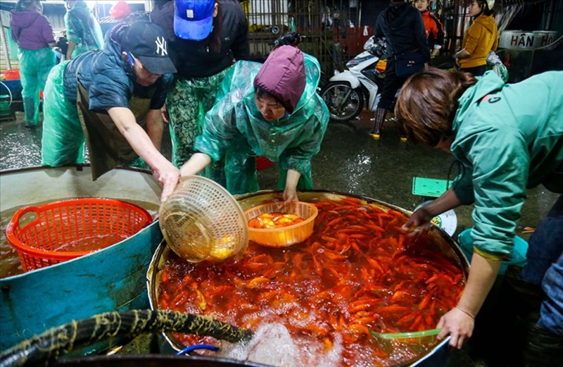 Chợ hoa tết ở Hà Nội. Chợ hoa tết nổi tiếng Hà Nội