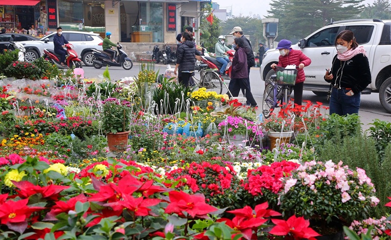Chợ hoa tết ở Hà Nội. Chợ hoa tết truyền thống Hà Nội