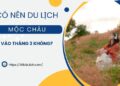 Du lịch Mộc Châu tháng 3. Du lịch Mộc Châu tháng 3 có gì thú vị