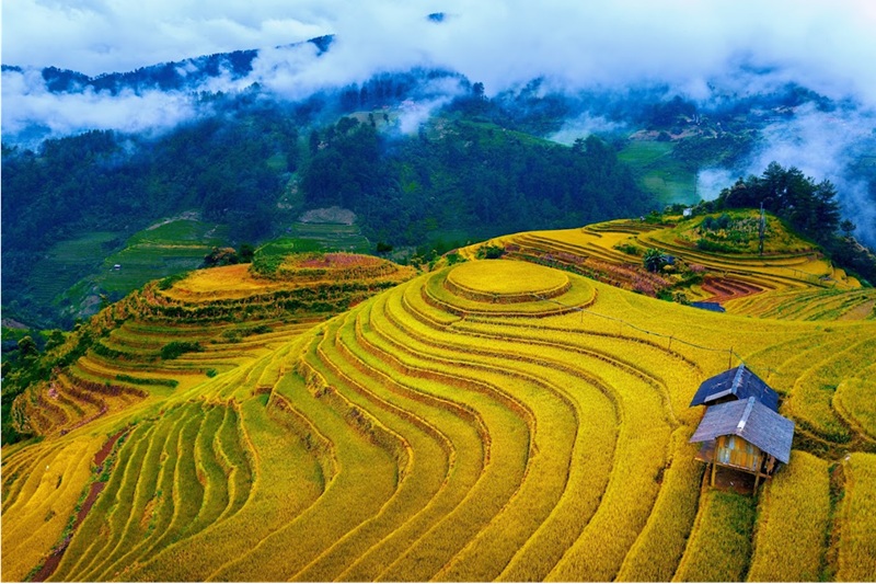 Địa điểm du lịch Yên Bái. Đi đâu Yên Bái chơi