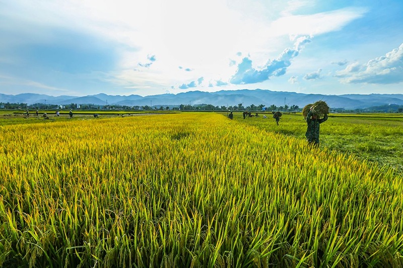 Địa điểm du lịch Yên Bái. Du lịch Yên Bái nên đi đâu chơi