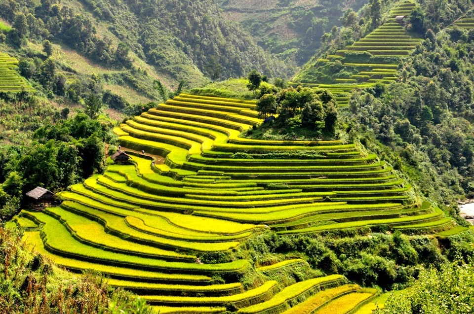 Địa điểm du lịch Yên Bái. Du lịch Yên Bái đi đâu chơi