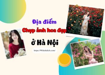 Địa điểm chụp ảnh hoa ở Hà Nội. Địa điểm chụp ảnh hoa tại Hà Nội