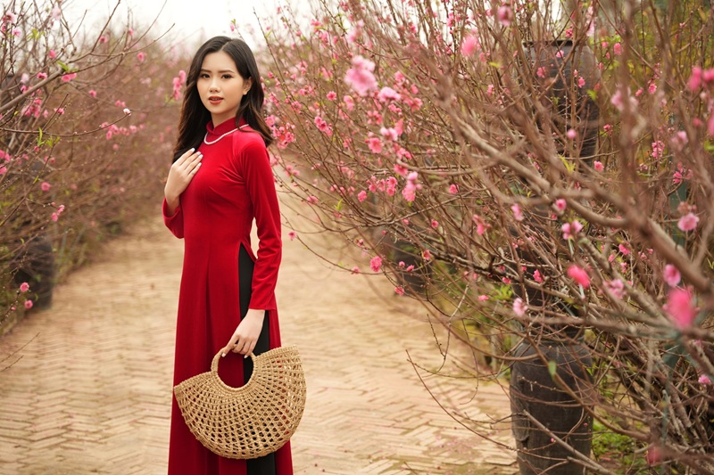 Địa điểm chụp ảnh hoa ở Hà Nội. Địa điểm chụp ảnh nổi tiếng ở Hà Nội