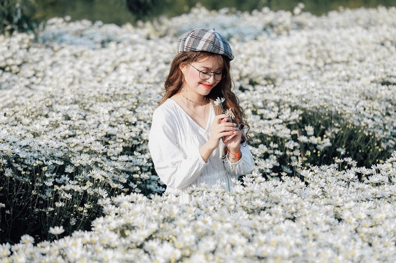 Địa điểm chụp ảnh hoa ở Hà Nội. Địa điểm chụp ảnh hoa tại Hà Nội