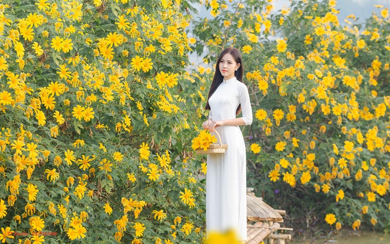 Địa điểm chụp ảnh hoa ở Hà Nội. Địa điểm chụp ảnh hoa tại Hà Nội