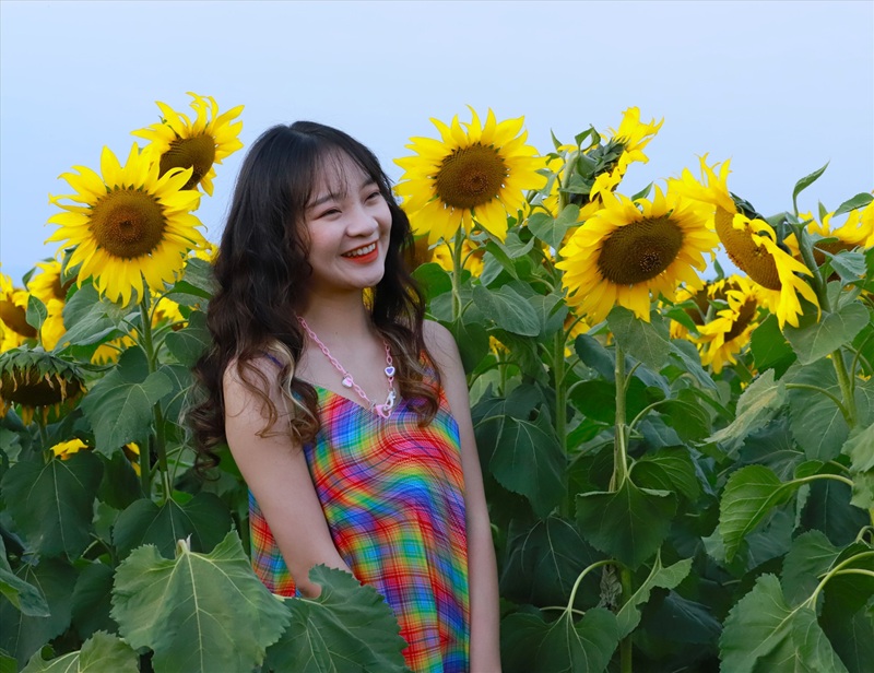 Địa điểm chụp ảnh hoa ở Hà Nội. Địa điểm chụp ảnh nổi tiếng ở Hà Nội